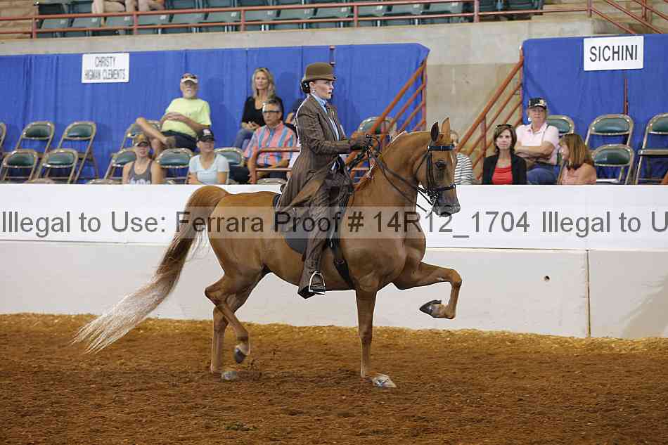 Proof Number 14r12_1704