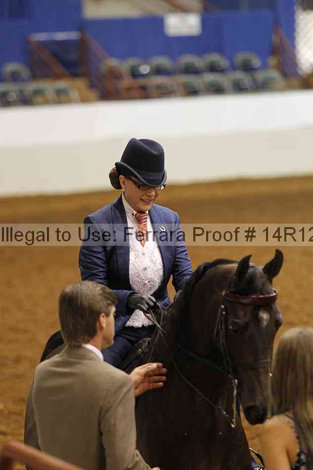 Proof Number 14r12_1709