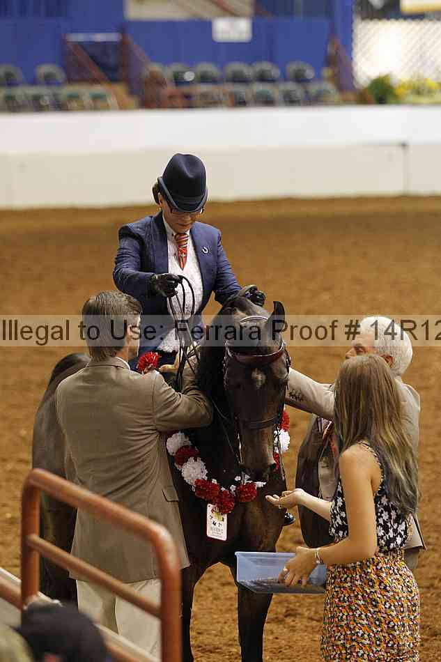 Proof Number 14r12_1711