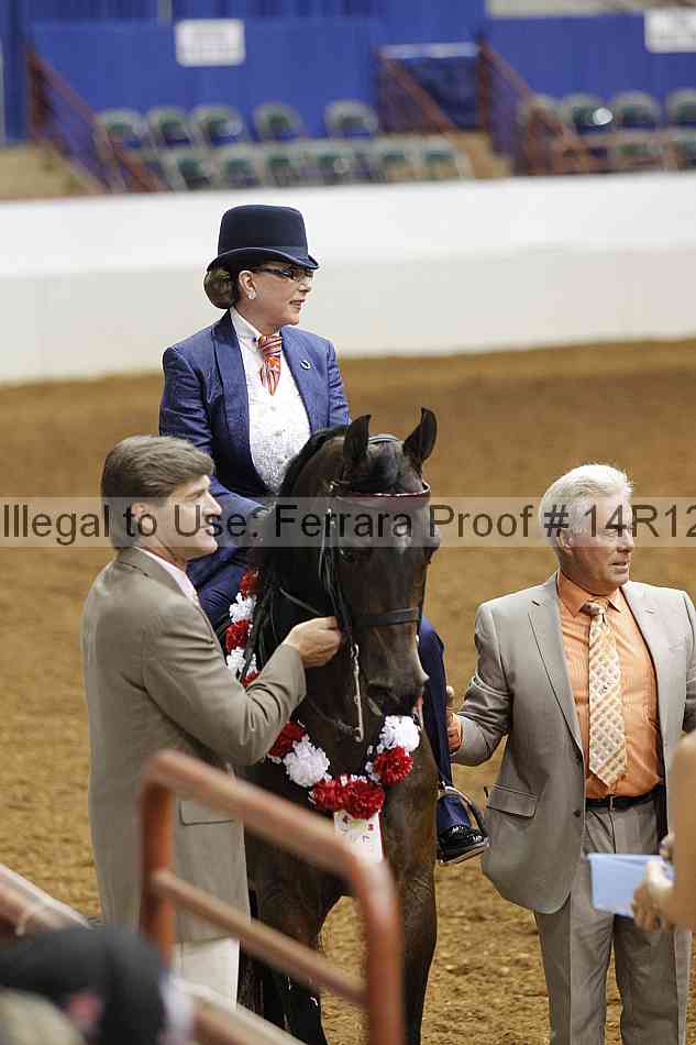 Proof Number 14r12_1715