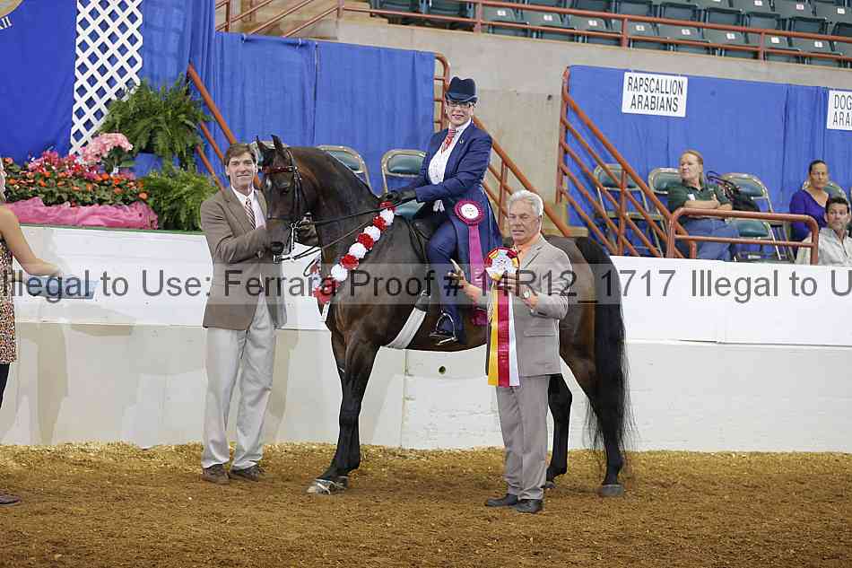 Proof Number 14r12_1717