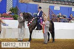 14r12_1717 thumbnail