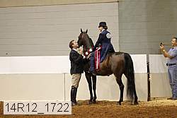 14r12_1722 thumbnail