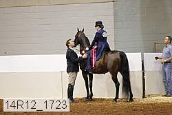 14r12_1723 thumbnail