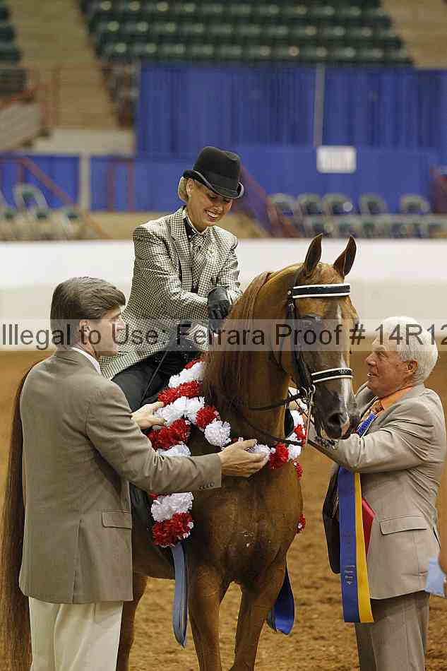 Proof Number 14r12_1724