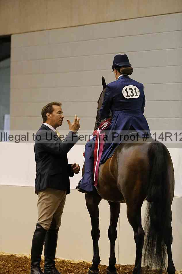 Proof Number 14r12_1728