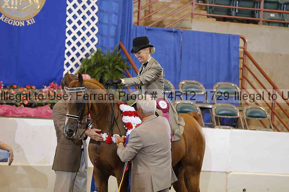 Proof Number 14r12_1729