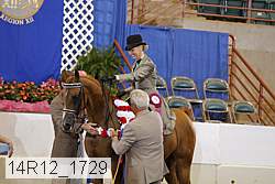 14r12_1729 thumbnail