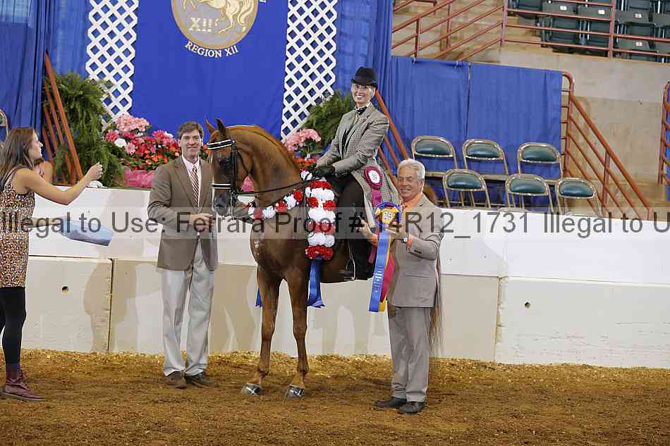 Proof Number 14r12_1731