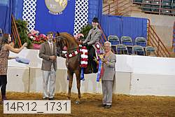 14r12_1731 thumbnail