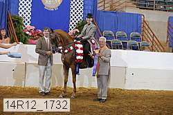 14r12_1732 thumbnail