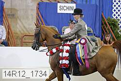 14r12_1734 thumbnail