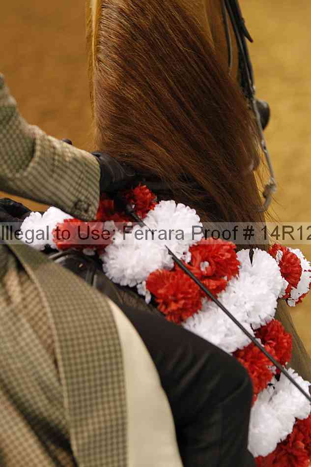Proof Number 14r12_1735
