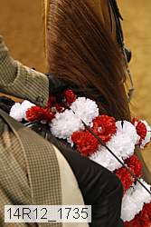 14r12_1735 thumbnail