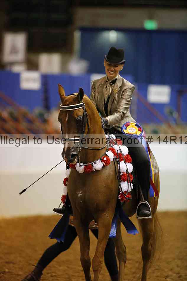 Proof Number 14r12_1736