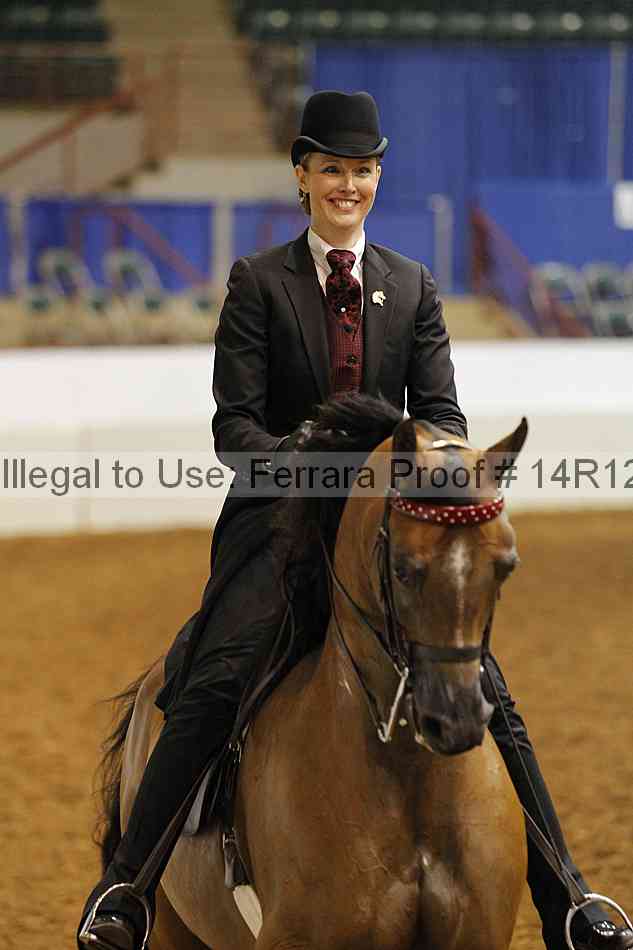 Proof Number 14r12_1738