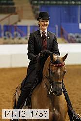 14r12_1738 thumbnail