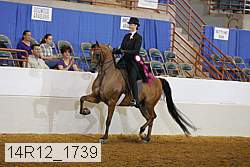 14r12_1739 thumbnail