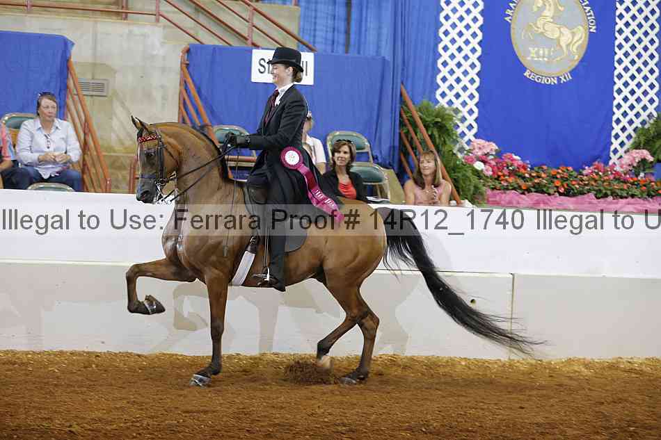 Proof Number 14r12_1740