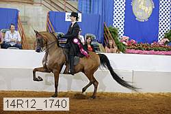 14r12_1740 thumbnail