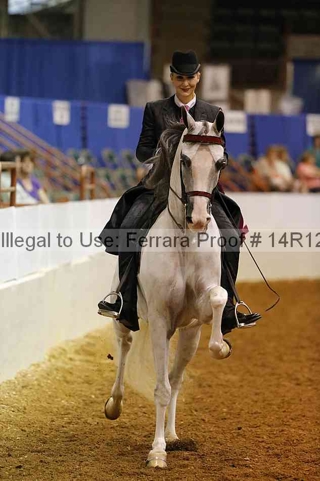 Proof Number 14r12_1748