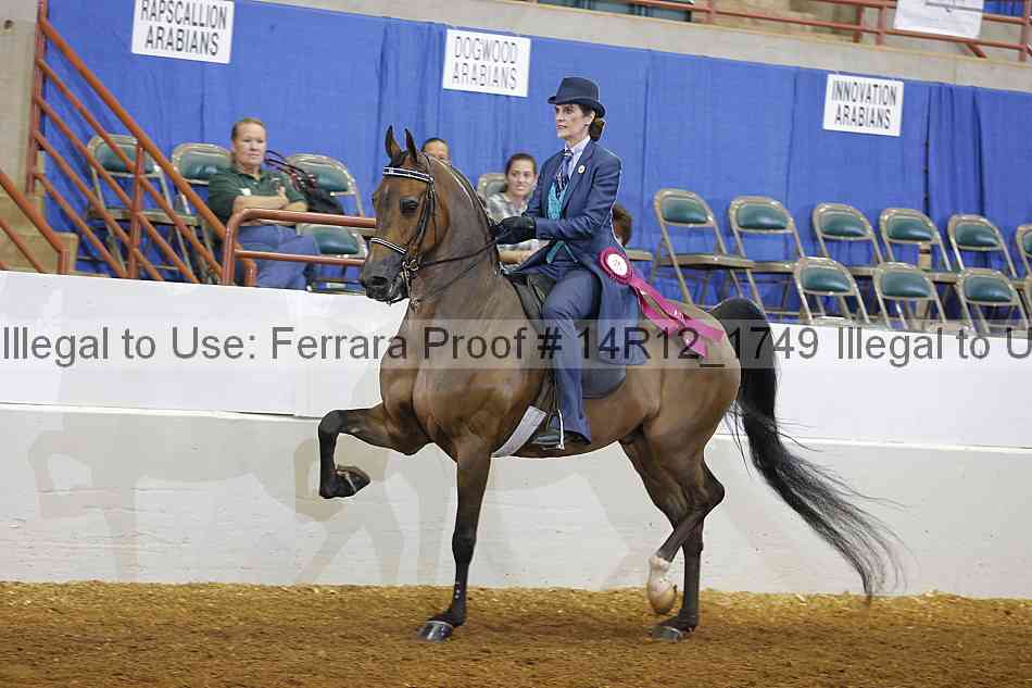 Proof Number 14r12_1749