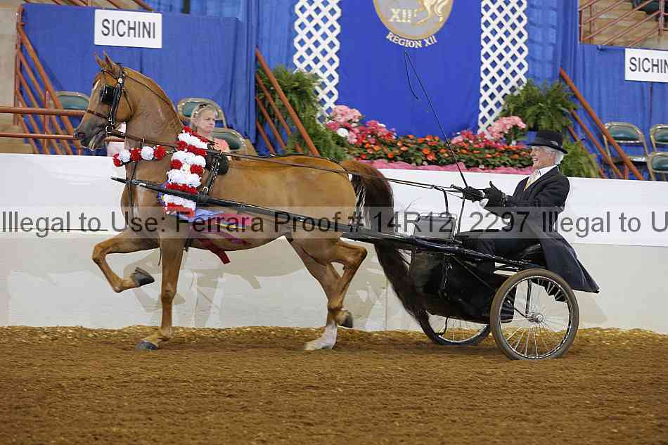 Proof Number 14r12_2297