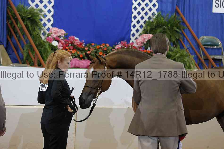 Proof Number 14r12_1788
