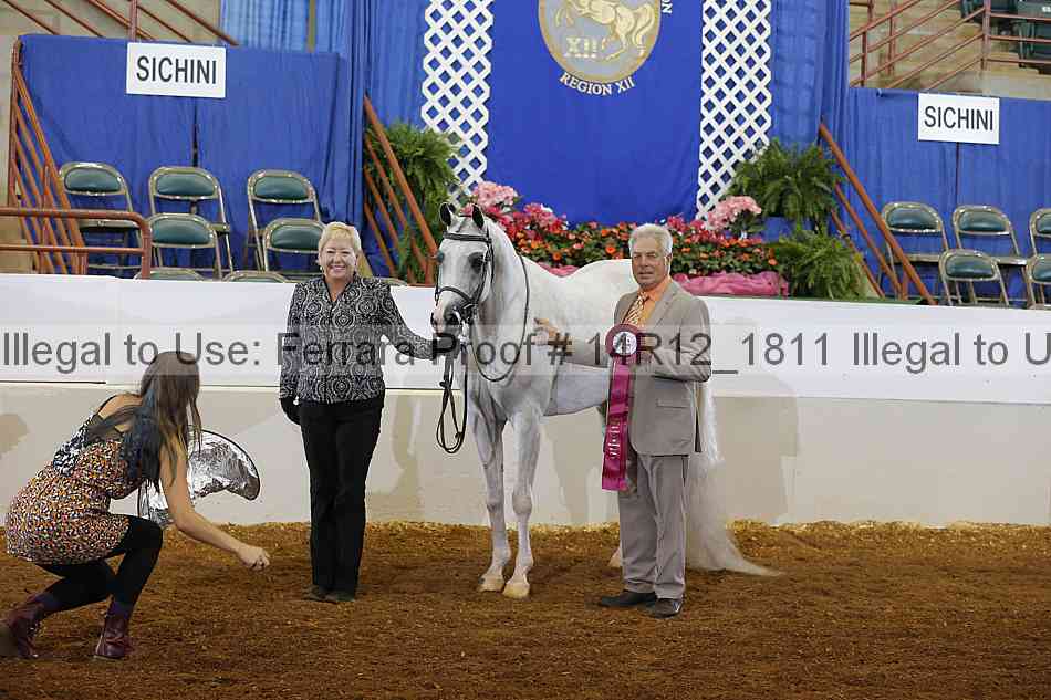 Proof Number 14r12_1811