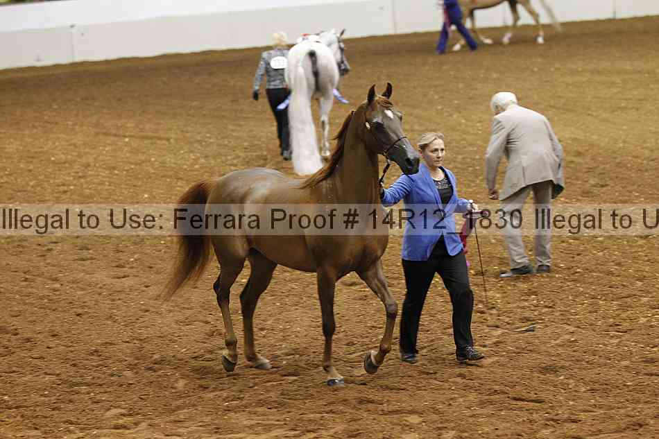 Proof Number 14r12_1830