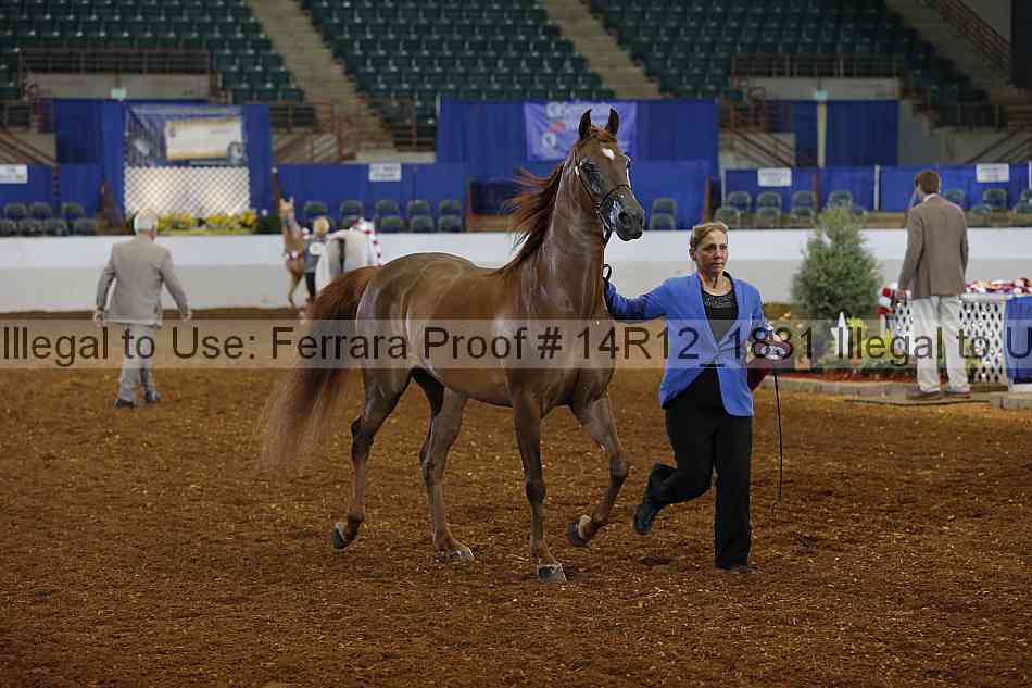 Proof Number 14r12_1831