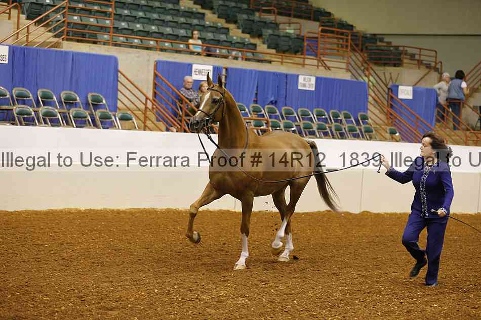 Proof Number 14r12_1839