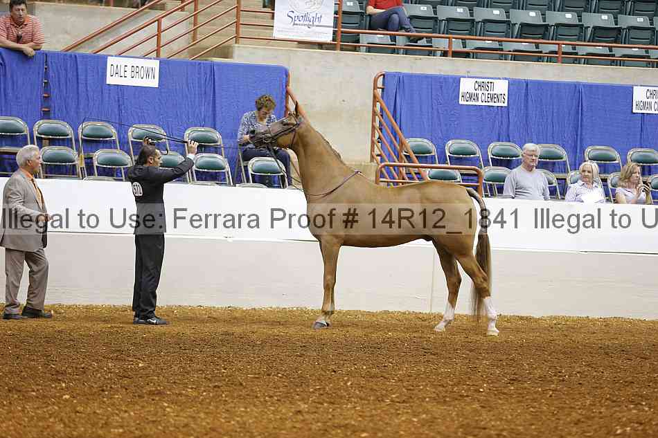 Proof Number 14r12_1841