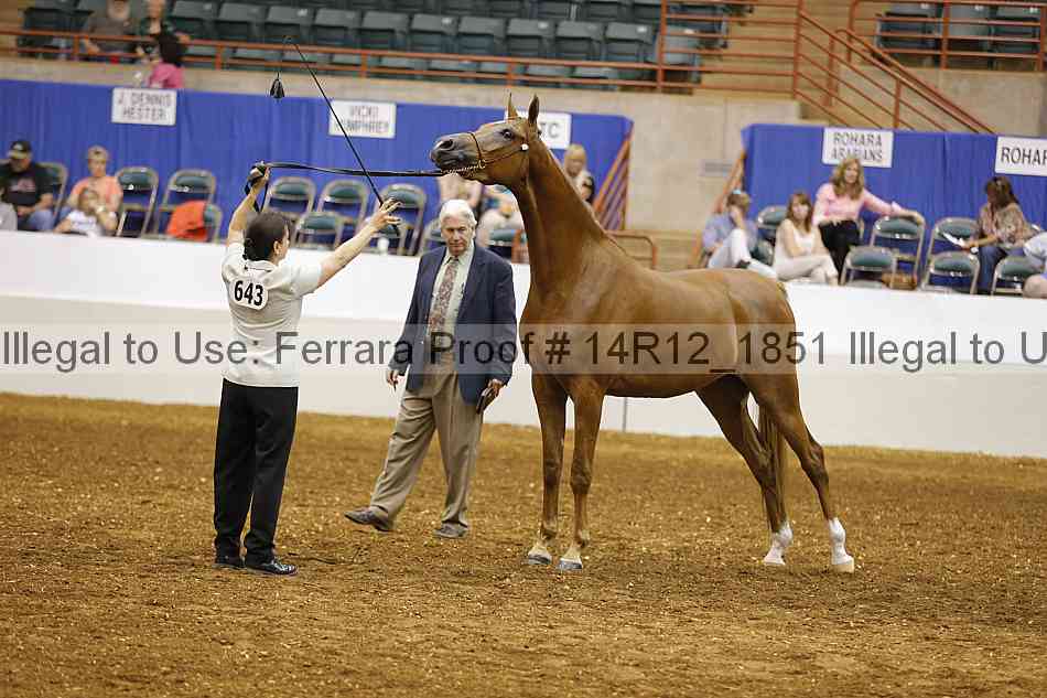 Proof Number 14r12_1851