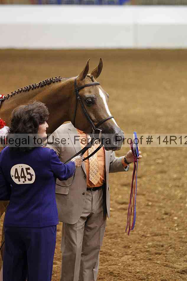Proof Number 14r12_1862