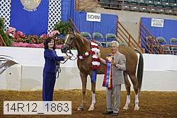 14r12_1863 thumbnail