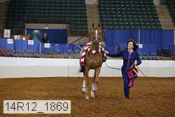 14r12_1869 thumbnail