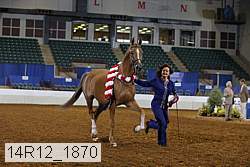 14r12_1870 thumbnail