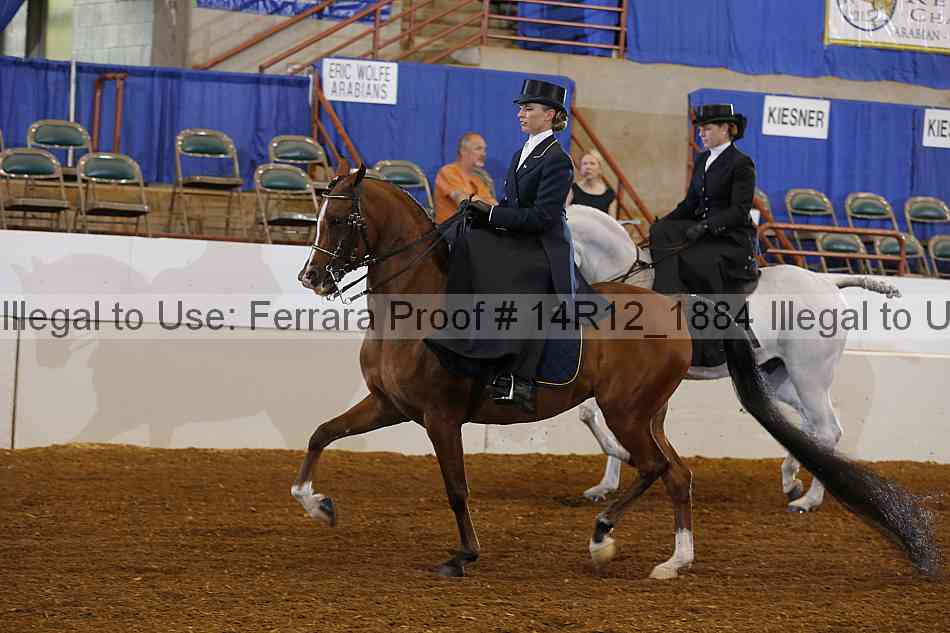 Proof Number 14r12_1884
