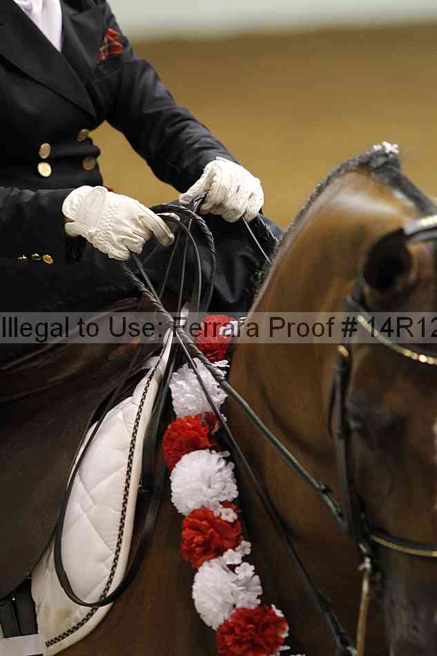 Proof Number 14r12_1901