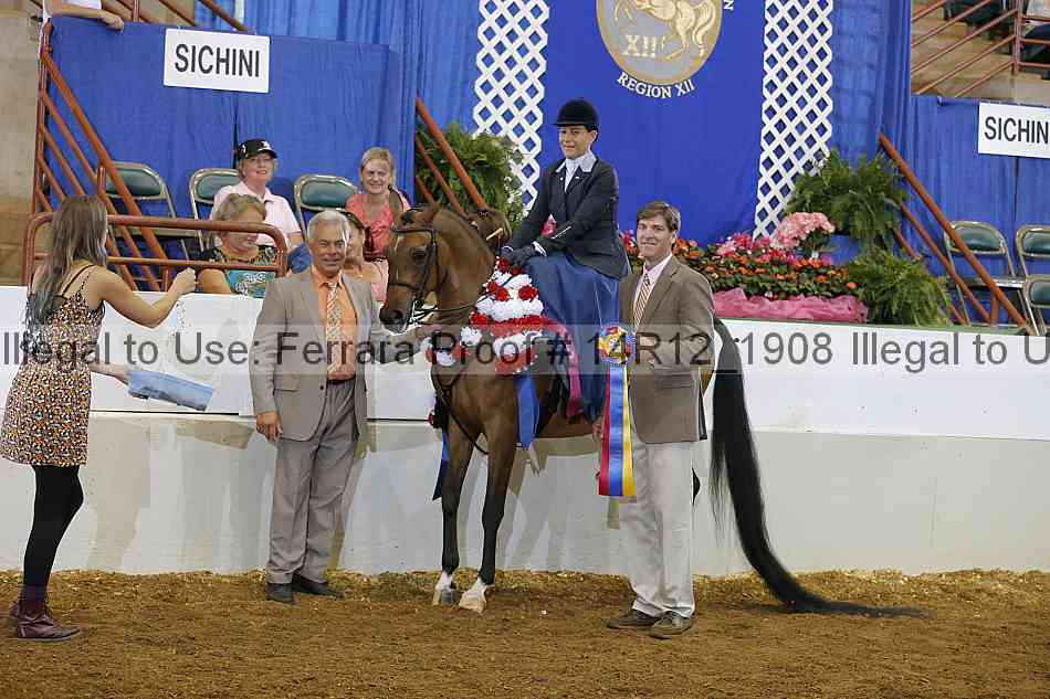 Proof Number 14r12_1908