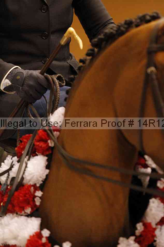 Proof Number 14r12_1909