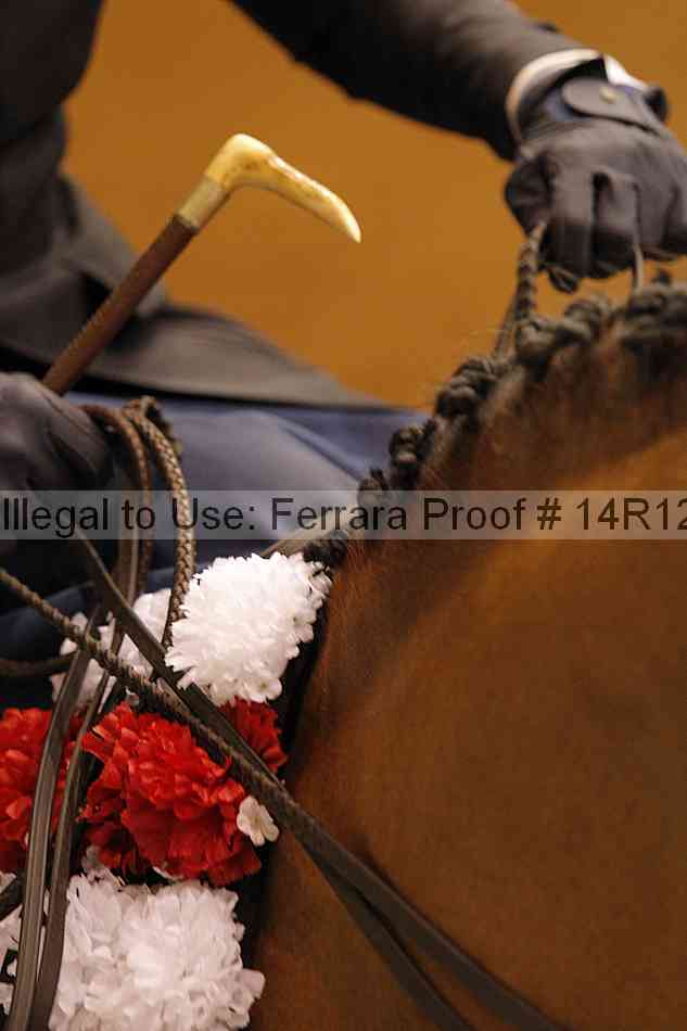 Proof Number 14r12_1910