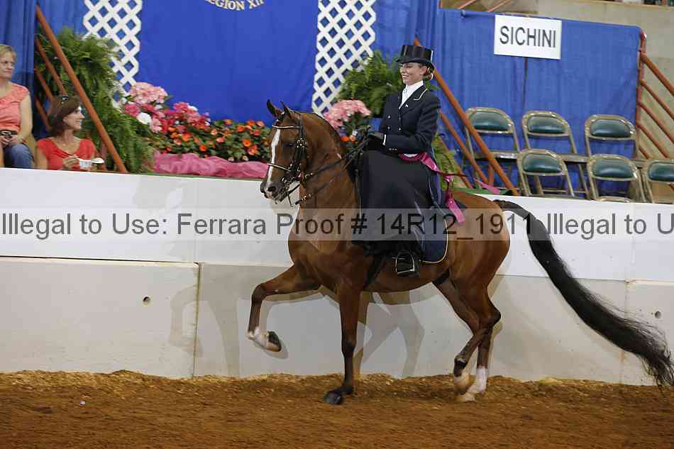 Proof Number 14r12_1911
