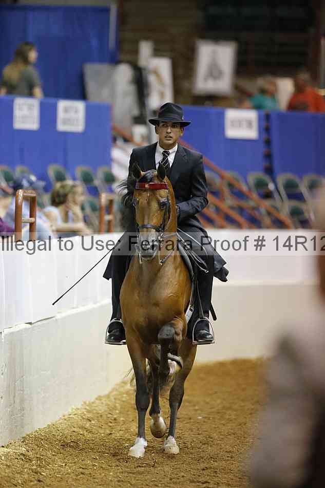 Proof Number 14r12_1943