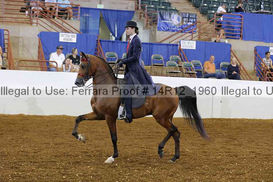 Proof Number 14r12_1960