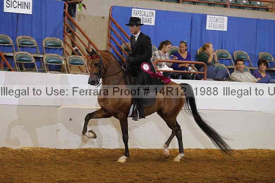 Proof Number 14r12_1988