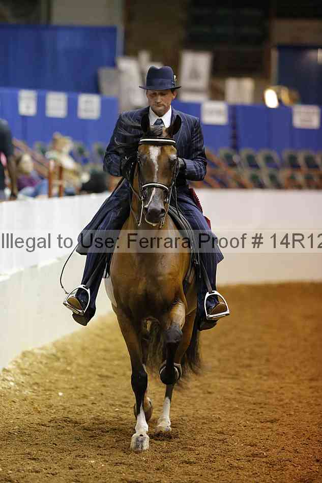 Proof Number 14r12_1994