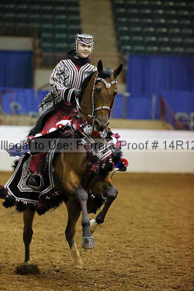 Proof Number 14r12_2029