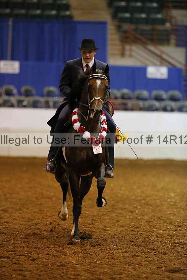 Proof Number 14r12_2063